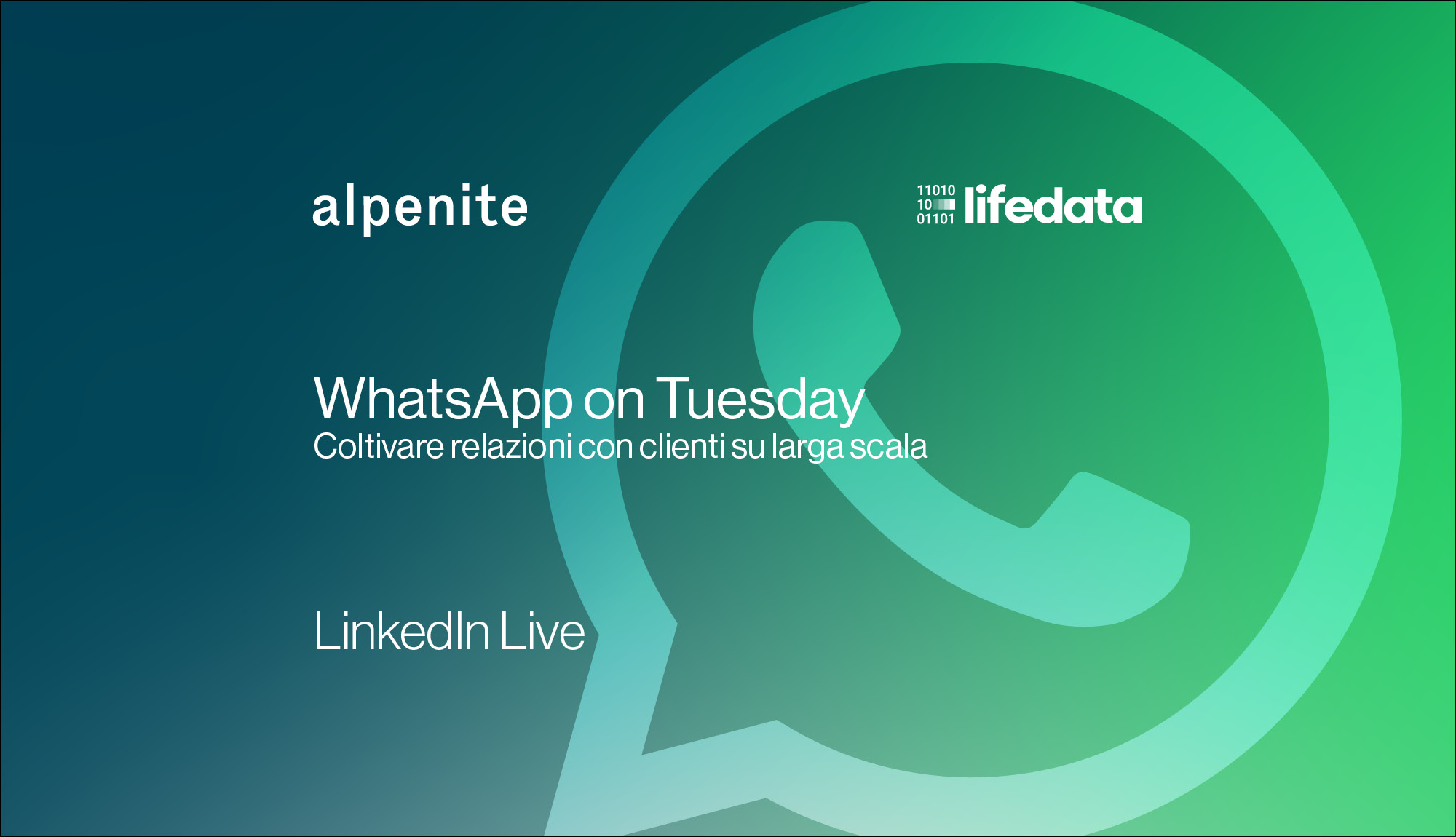 WhatsApp on Tuesday: Coltivare relazioni con clienti su larga scala